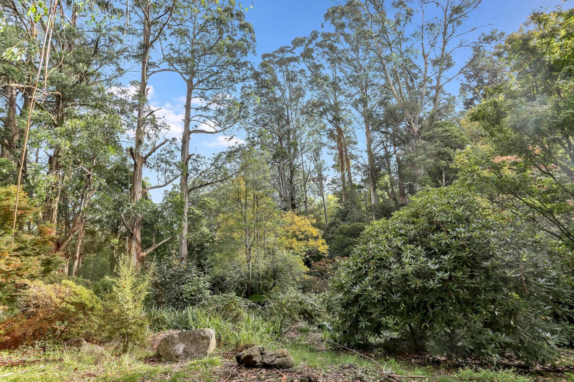 Birch Suite - Rocky Creek Art Garden Olinda Buitenkant foto